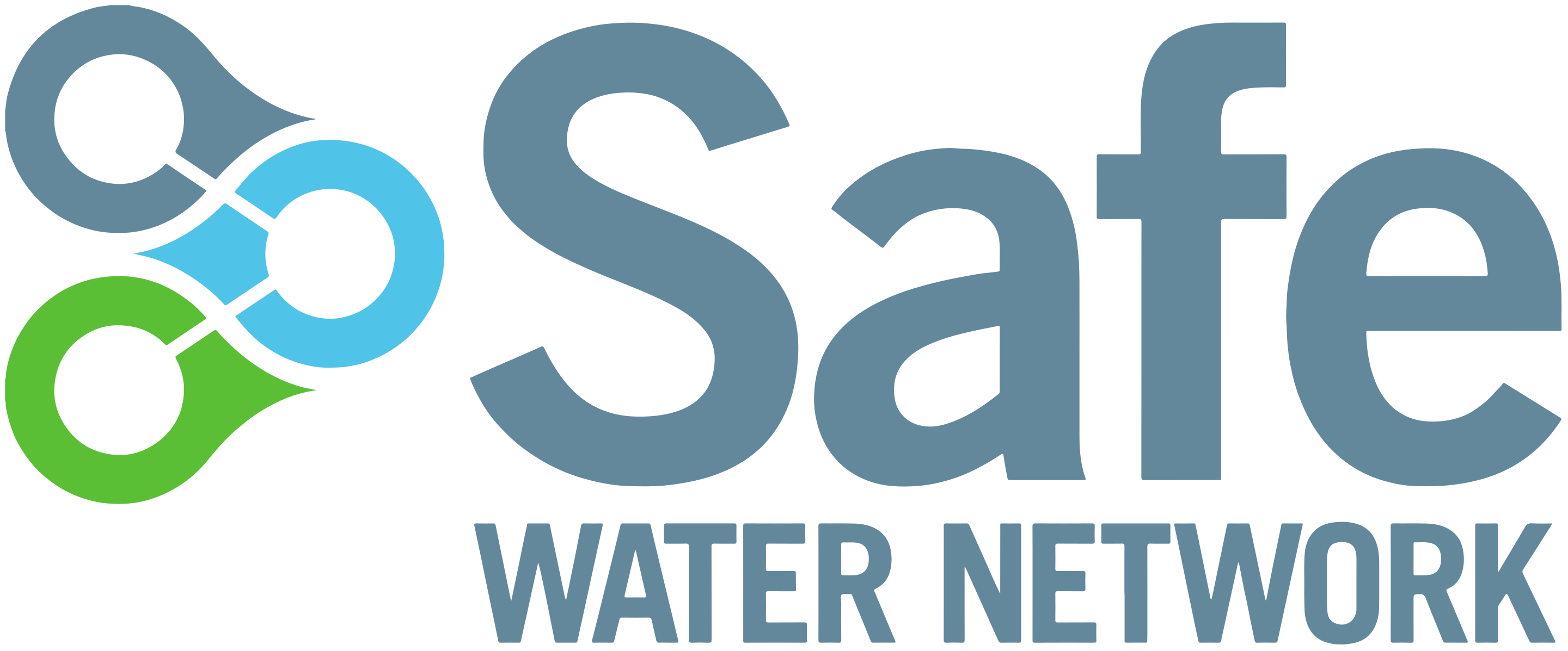 Safe Water Network
